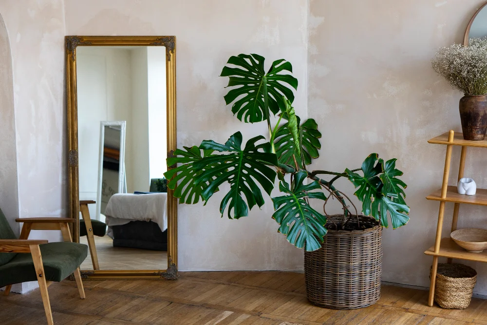 Interiér v štýle Urban Jungle – pozri sa, ako ho zariadiť