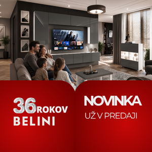 meblościanka szara 300x300 sk